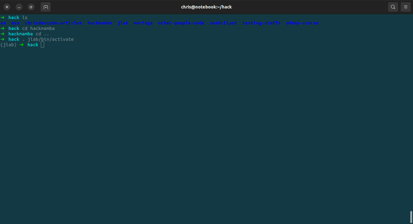 Activating a virtual environment