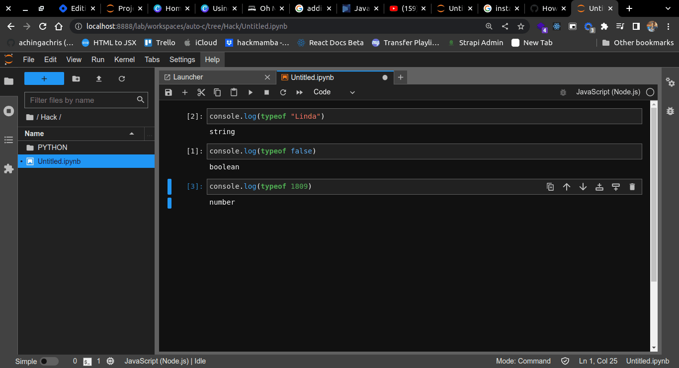 Srunning javascript on jupyter lab