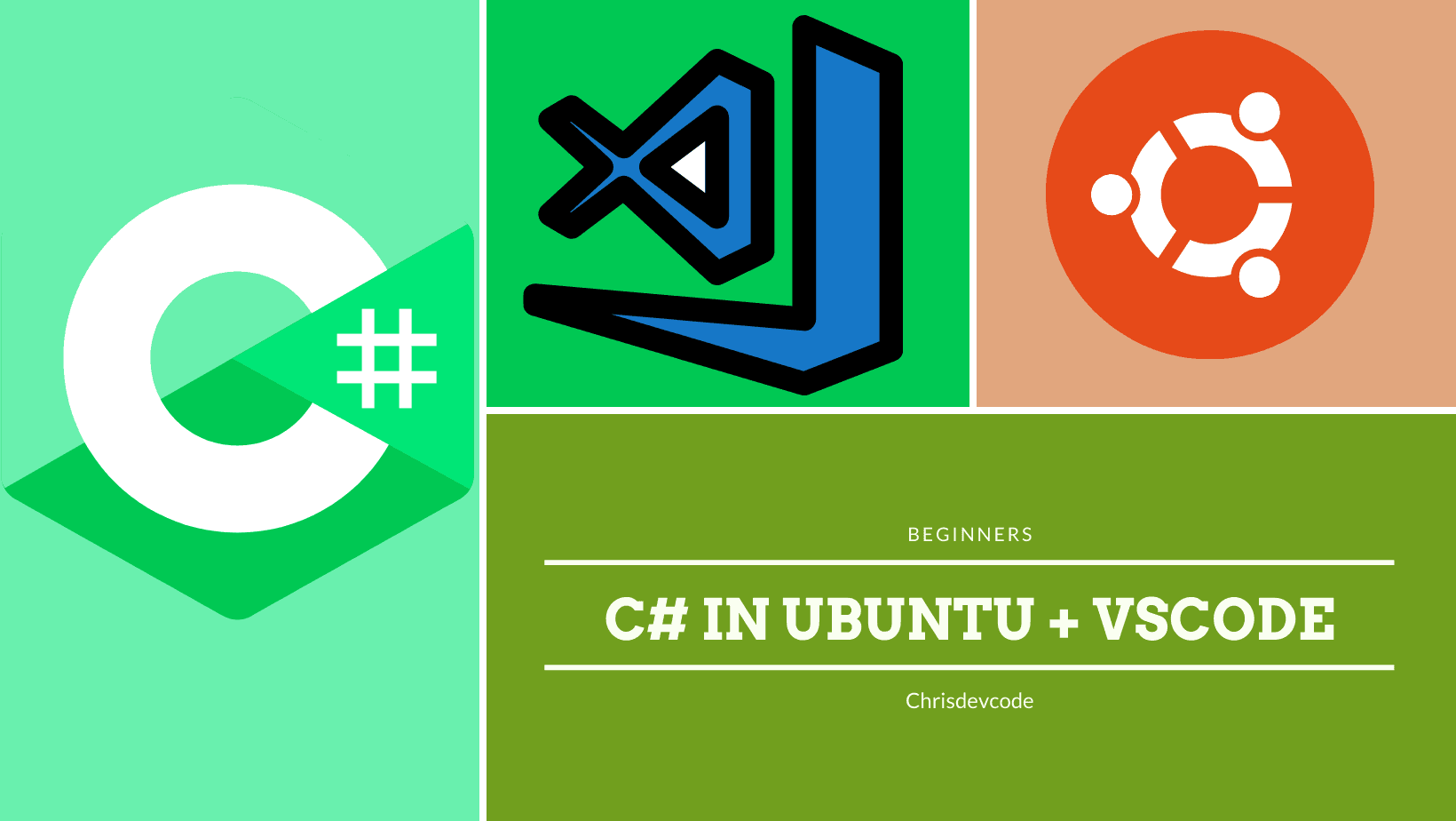 C#(Dotnet) Setup in Ubuntu with VSCode