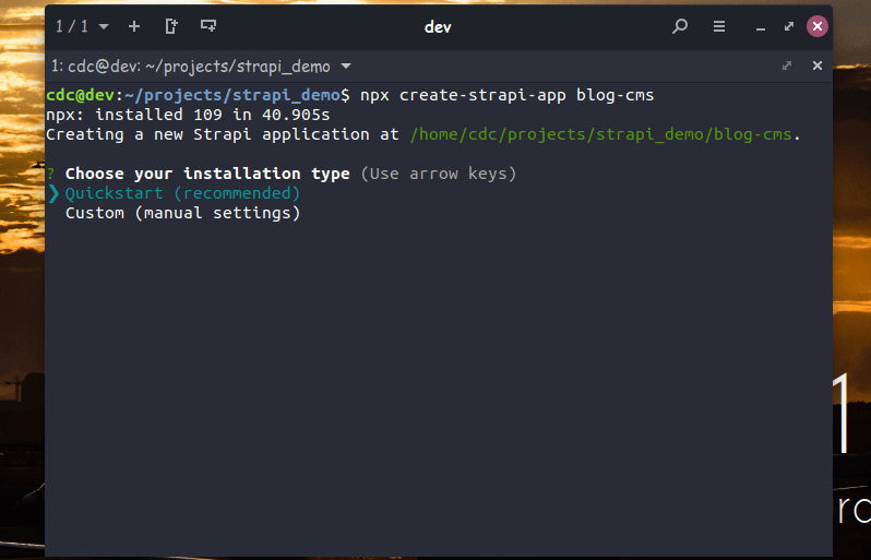 selet-instalation-type.png